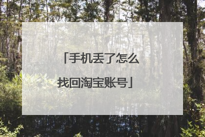 手机丢了怎么找回淘宝账号