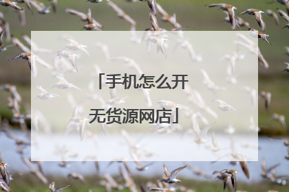 手机怎么开无货源网店