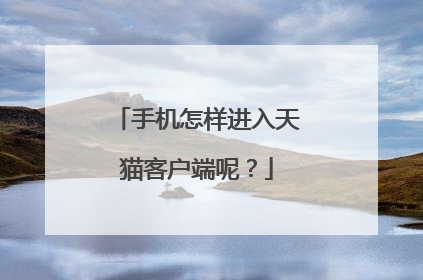 手机怎样进入天猫客户端呢？