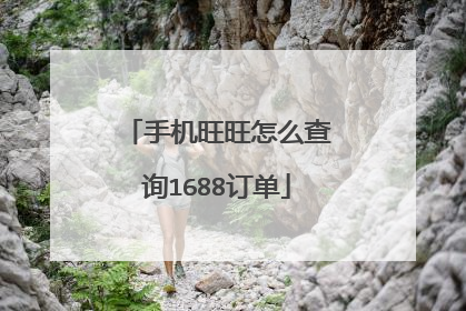 手机旺旺怎么查询1688订单