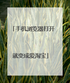 手机浏览器打开就变成爱淘宝