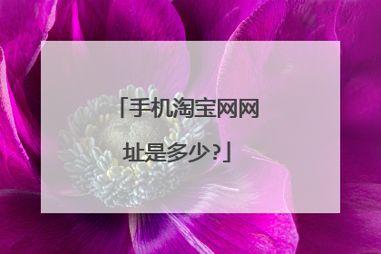 手机淘宝网网址是多少?
