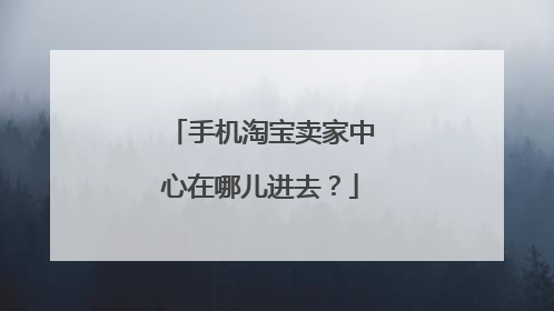 手机淘宝卖家中心在哪儿进去?