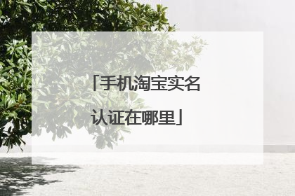 手机淘宝实名认证在哪里