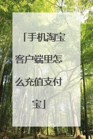 手机淘宝客户端里怎么充值支付宝