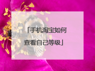 手机淘宝如何查看自己等级