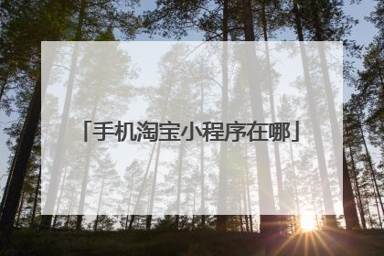 手机淘宝小程序在哪