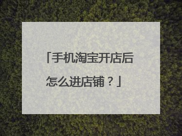 手机淘宝开店后怎么进店铺?