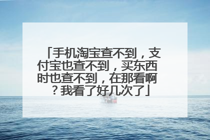 手机淘宝查不到，支付宝也查不到，买东西时也查不到，在那看啊？我看了好几次了