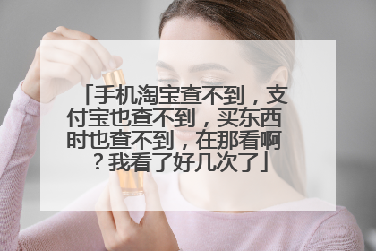 手机淘宝查不到,支付宝也查不到,买东西时也查不到,在那看啊?我看了好几次了