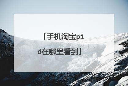 手机淘宝pid在哪里看到