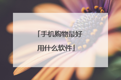 手机购物最好用什么软件