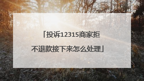 投诉12315商家拒不退款接下来怎么处理