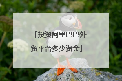 投资阿里巴巴外贸平台多少资金