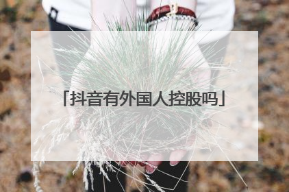抖音有外国人控股吗