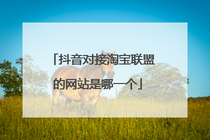 抖音对接淘宝联盟的网站是哪一个