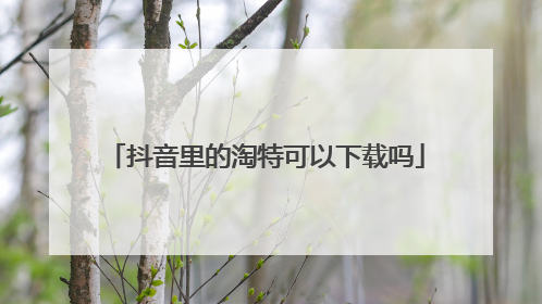 抖音里的淘特可以下载吗