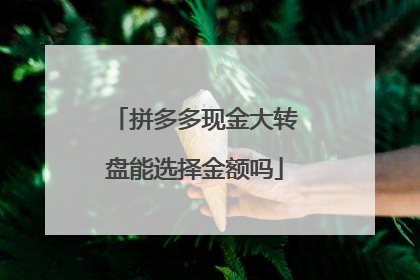 拼多多现金大转盘能选择金额吗