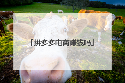 拼多多电商赚钱吗