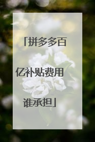 拼多多百亿补贴费用谁承担