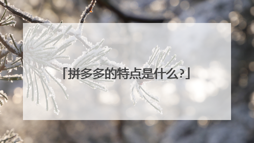 拼多多的特点是什么?