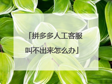 拼多多人工客服叫不出来怎么办