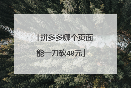 拼多多哪个页面能一刀砍40元