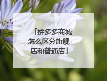 拼多多商城怎么区分旗舰店和普通店