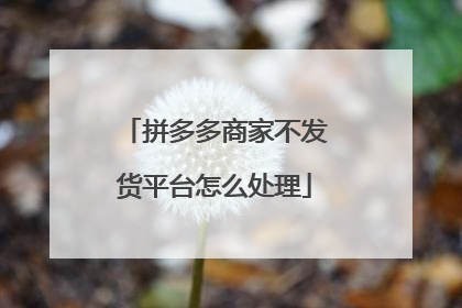 拼多多商家不发货平台怎么处理