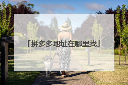 拼多多地址在哪里找