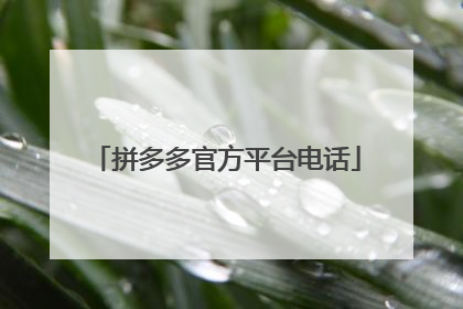 拼多多官方平台电话