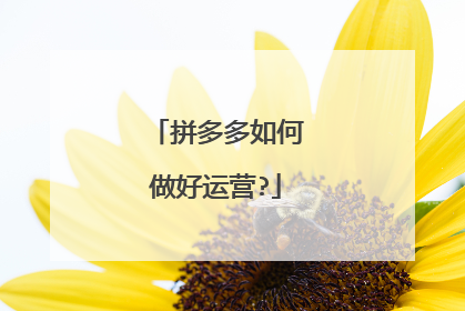 拼多多如何做好运营?