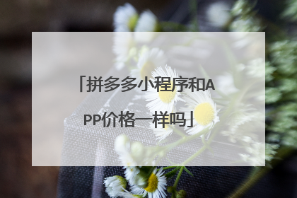 拼多多小程序和APP价格一样吗