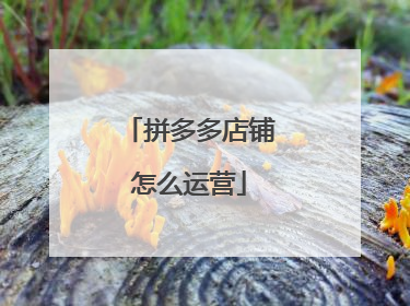 拼多多店铺怎么运营