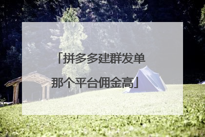 拼多多建群发单那个平台佣金高