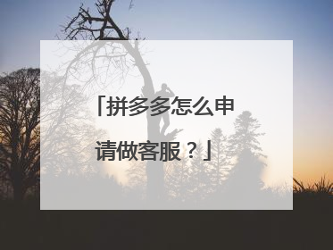 拼多多怎么申请做客服?