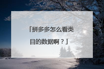 拼多多怎么看类目的数据啊?
