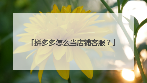 拼多多怎么当店铺客服？