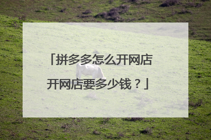 拼多多怎么开网店 开网店要多少钱?
