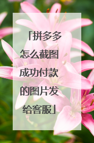 拼多多怎么截图成功付款的图片发给客服