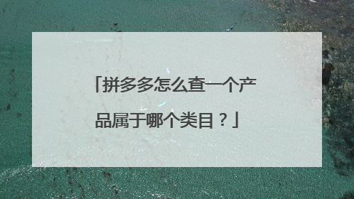 拼多多怎么查一个产品属于哪个类目?