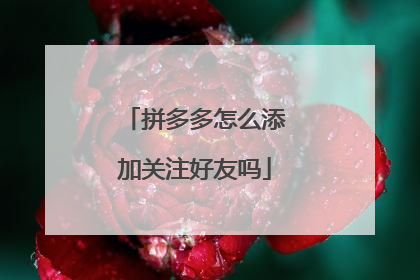 拼多多怎么添加关注好友吗