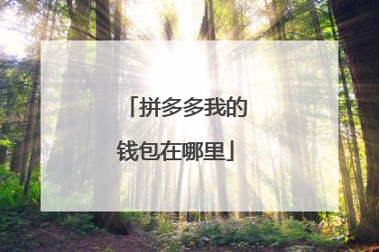 拼多多我的钱包在哪里