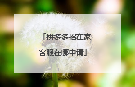 拼多多招在家客服在哪申请