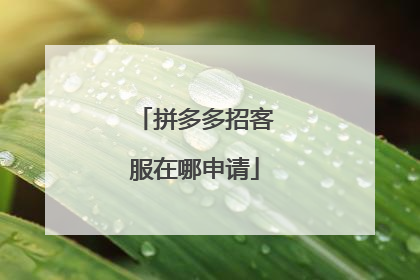 拼多多招客服在哪申请