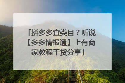 拼多多查类目?听说【多多情报通】上有商家教程干货分享