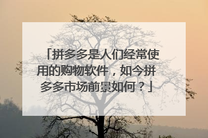 拼多多是人们经常使用的购物软件,如今拼多多市场前景如何?