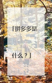 拼多多是什么?