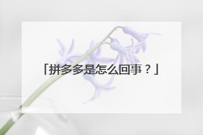 拼多多是怎么回事？
