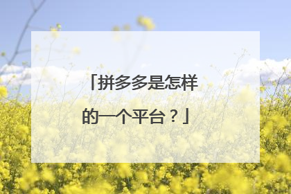 拼多多是怎样的一个平台？